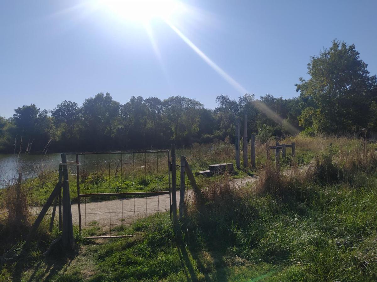 Gite La Pironniere - Piscine, Nature, Au Bord De La Riviere Montreuil-sur-Maine Exterior foto